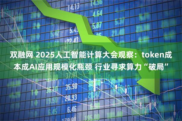 双融网 2025人工智能计算大会观察：token成本成AI应用规模化瓶颈 行业寻求算力“破局”