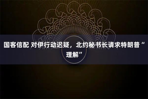 国客信配 对伊行动迟疑,北约秘书长请求特朗普“理解”