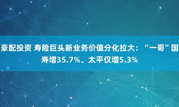 豪配投资 寿险巨头新业务价值分化拉大：“一哥”国寿增35.7%、太平仅增5.3%