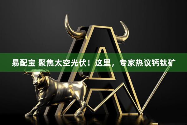 易配宝 聚焦太空光伏！这里，专家热议钙钛矿